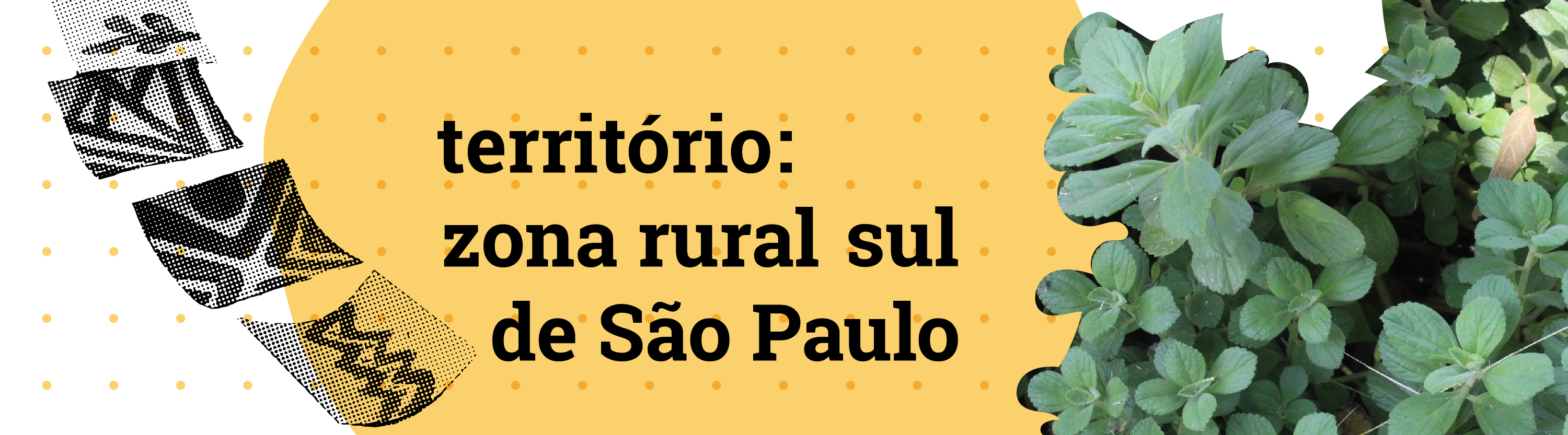 território: zona rural sul de São Paulo